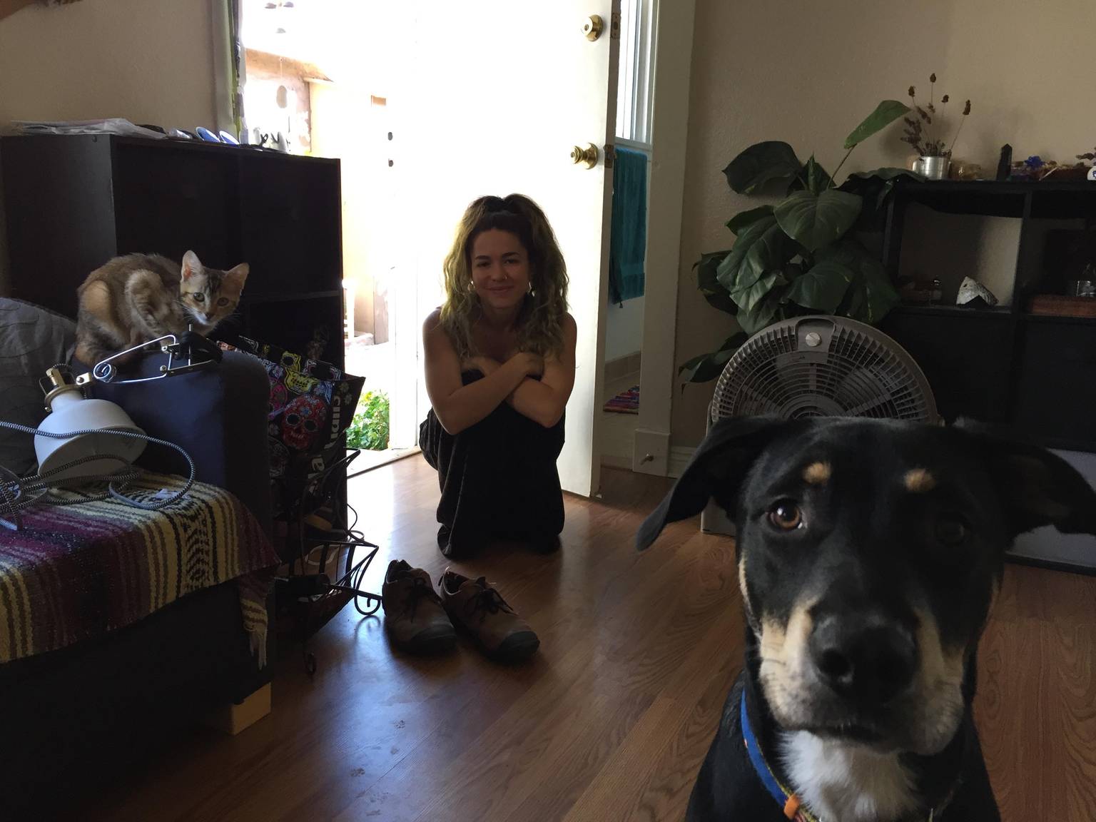 Happy pup at Lawrence and Pup